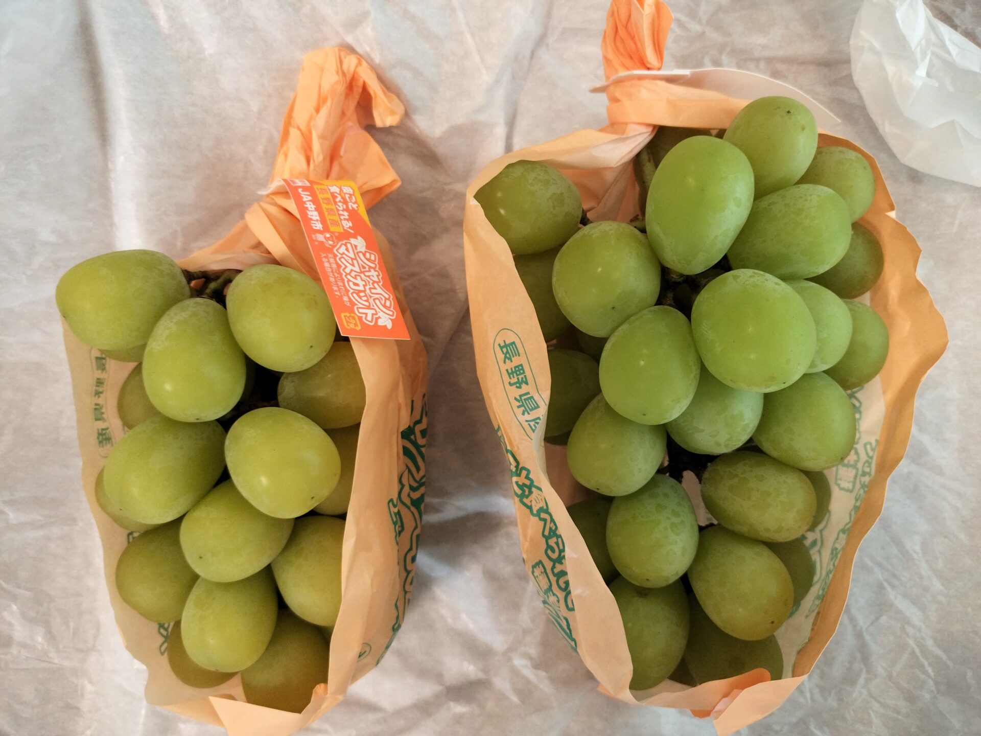 ふるさと納税 ぶどう 2024年 先行予約 9月・10月発送 シャイン マスカット 晴王 2房（合計約1.1kg） ブドウ 葡萄 岡山県産 国.. 岡山県岡山市 ふるさと納税 ぶどう 2024年 先行予約 9月・10月発送 シャイン