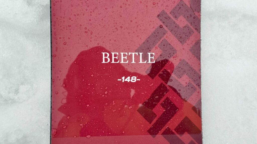 クロージャビートルのサイズ表記を映した写真