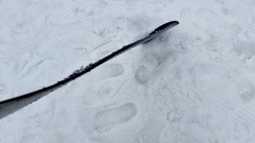 クロージャマンティスの台形キャンバーを横から映した写真