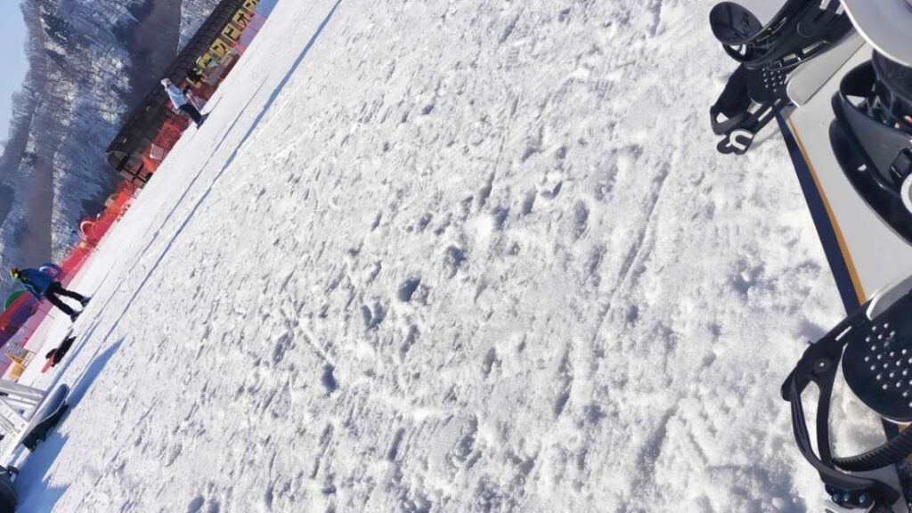 SALOMON試乗会のシャバ雪のコンディションを映した写真