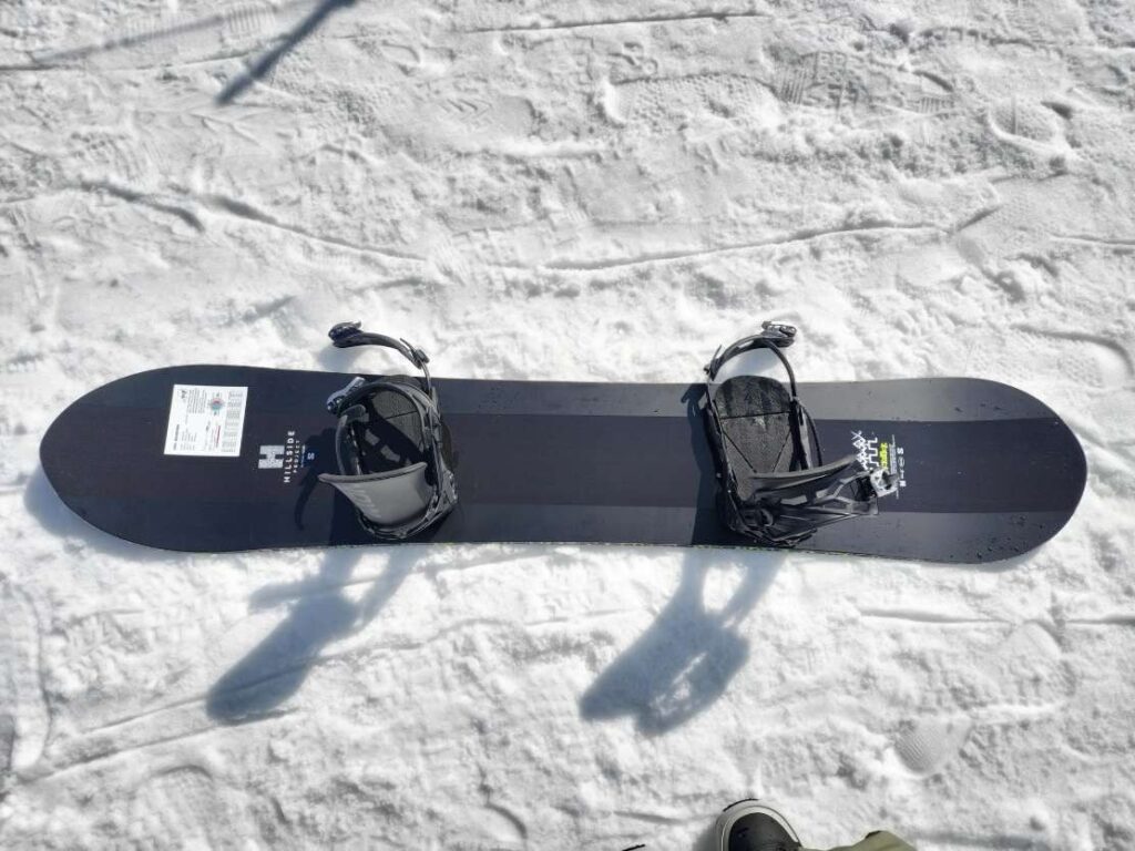 SALOMONシックスティックを真上から撮影した写真