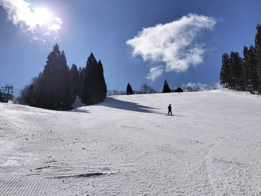 ホワイトピアたかすの斜面の写真