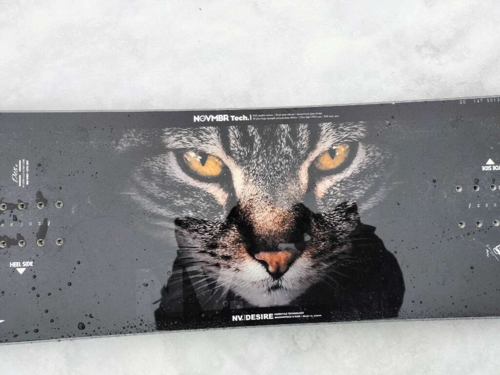 NOVEMBER DESIRE（ノベンバーデザイア）のグラフィックの写真