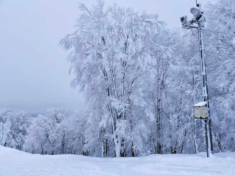 サーモマックスを実際に使用した雪山の写真