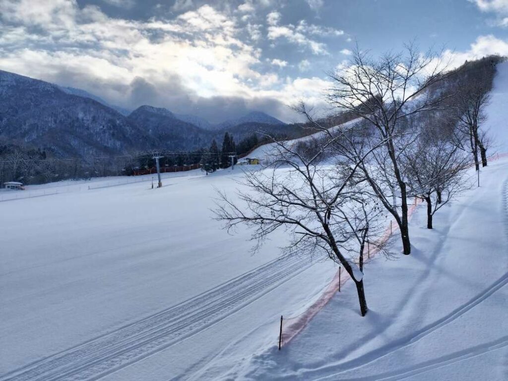 ほおのき平スキー場のゲレンデ