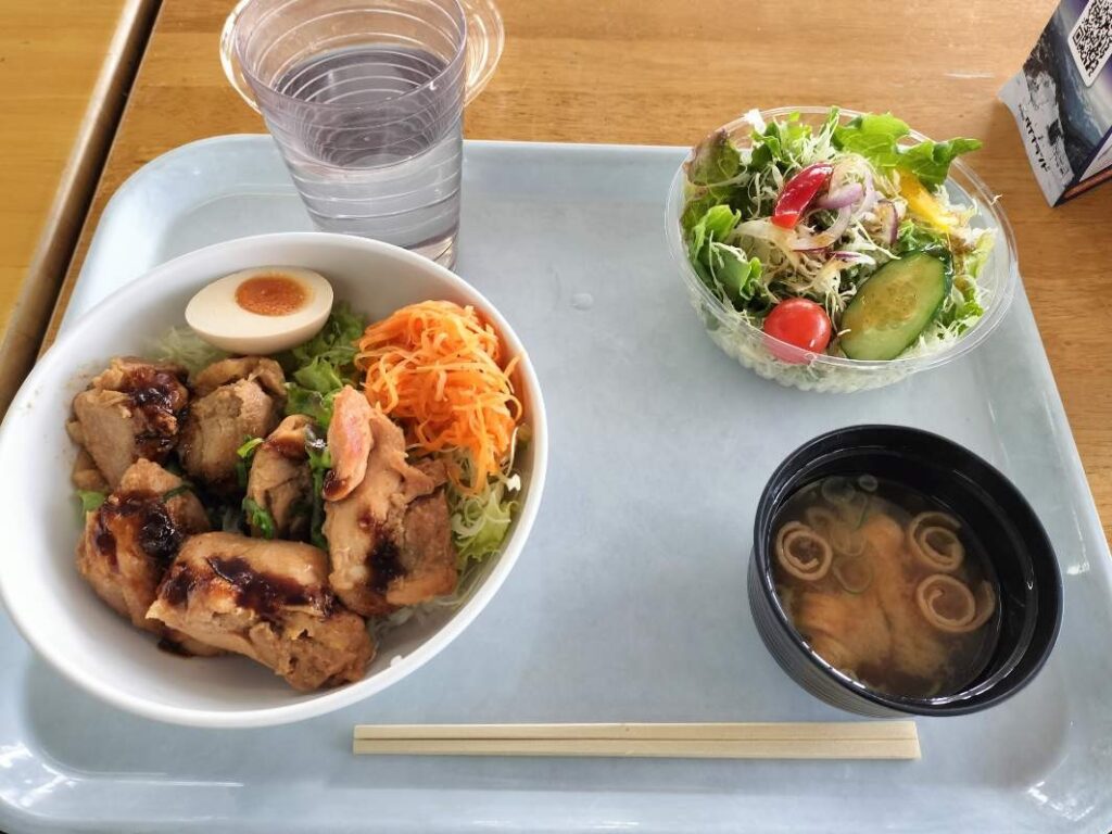 ダイナランドの鶏ちゃんカオマンガイ風丼