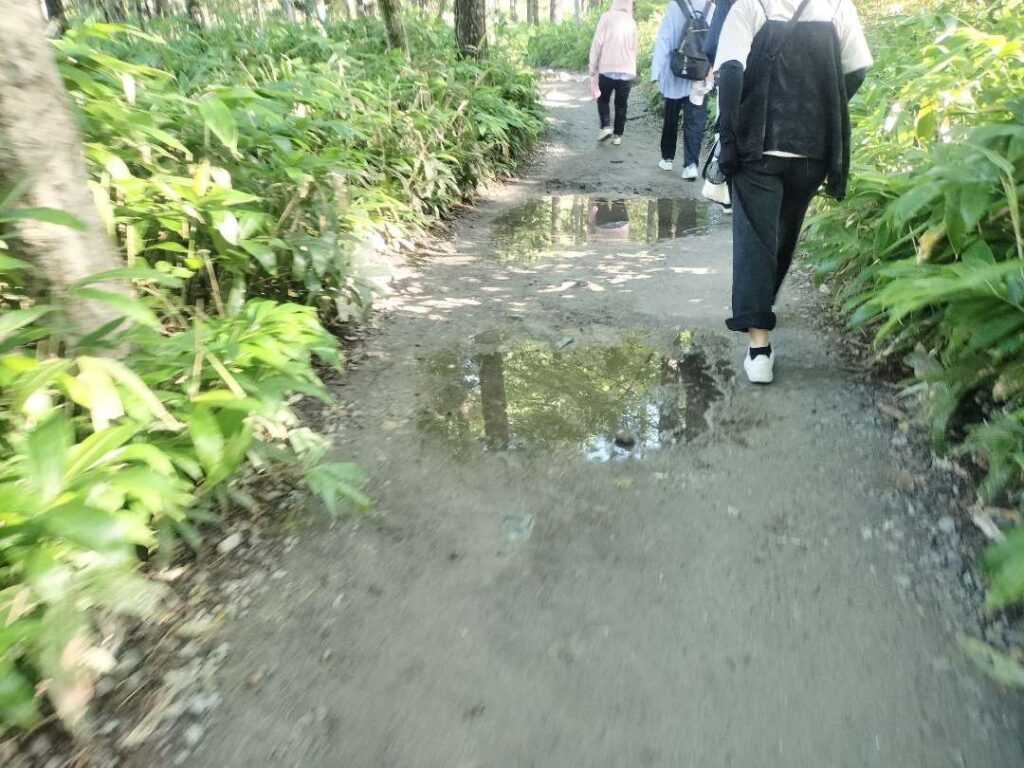 上高地の大正池の靴選びの写真